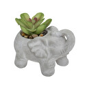 Artificial Plant "Elephant" H.10 cm Model 1