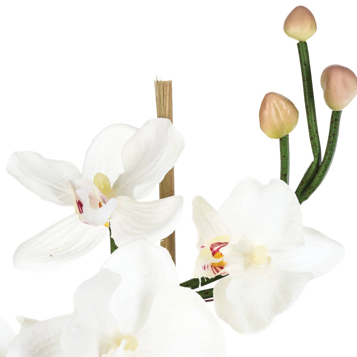 Artificial Orchid Arrangement Glass vase, H.37 cm Pink