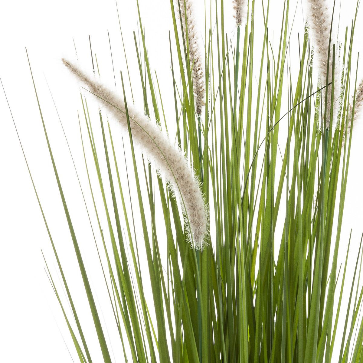 Artificial grass in pot "cat tails" H.70 cm Green