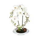 Artificial Orchid Arrangement Ceramic vase, H.46 cm Pink