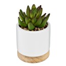 Artificial Succulent Ceramic pot, H.12 cm Model 1