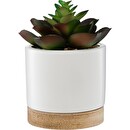 Artificial Succulent Ceramic pot, H.12 cm Model 1