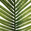 Artificial palm stem H.113 cm Green