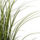 Artificial Grass in Pot H.58 cm Green