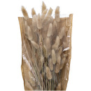 Dried Flower Bouquet "Ori" Ivory white, H.58 cm Ivory white