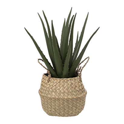 Artificial aloe vera reed pot, h.40 cm