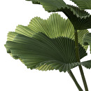 Artificial Palm Tree H.65 cm Green