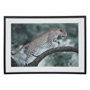"Juni" Printed Canvas 70x50 cm Multicolored