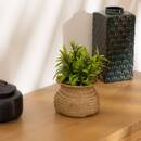 Artificial Plant Reed pot, H.20 cm Beige