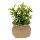 Artificial Plant Reed pot, H.20 cm Beige