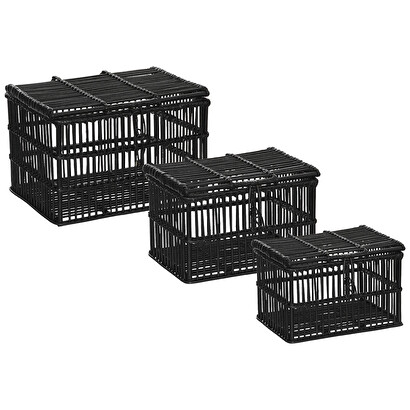 Set of 3 trunks rattan, black