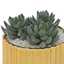 Artificial Plant Ceramic pot, H.14 cm Gold