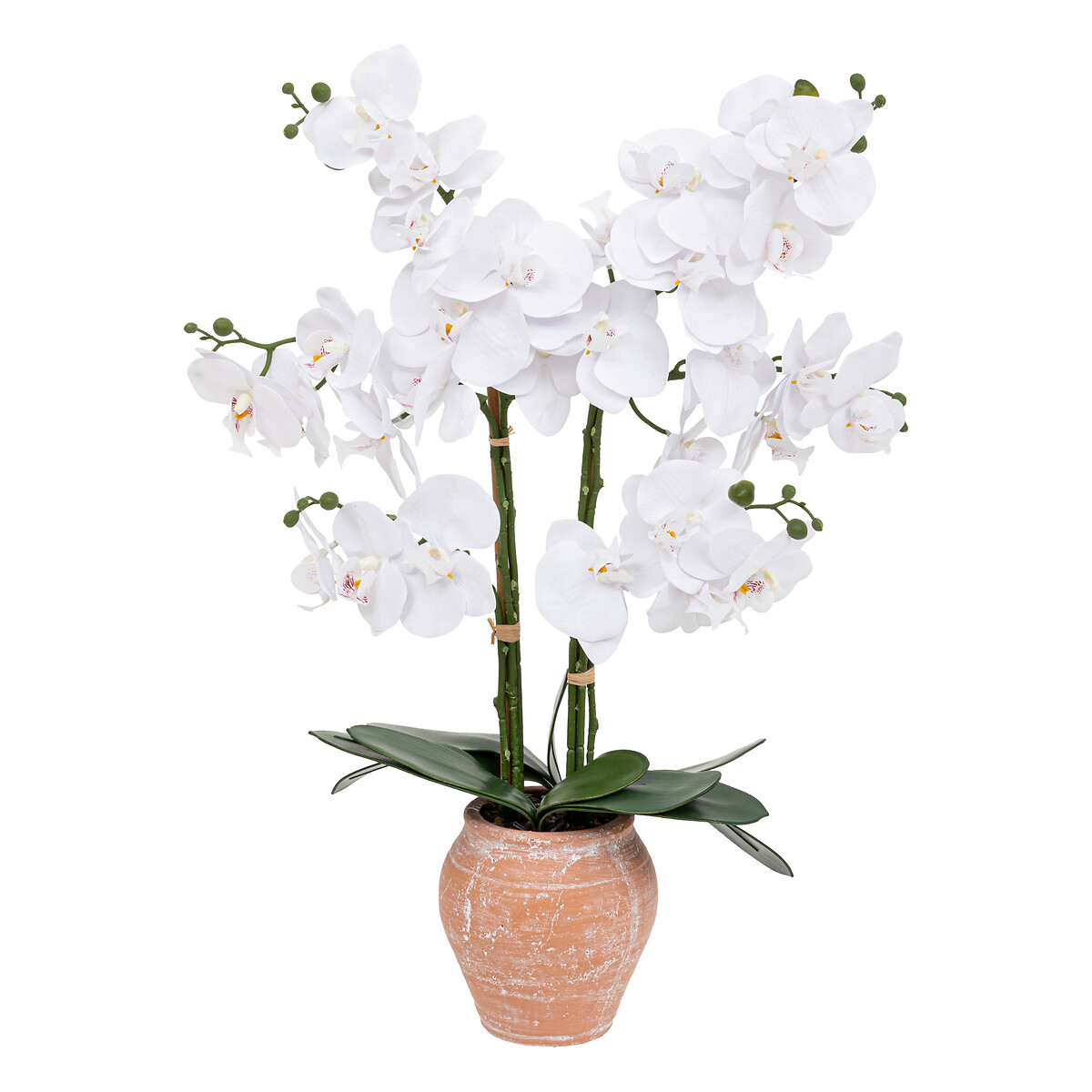 Artificial Orchid "Dena" Terracotta Pot, H.65 cm Terracotta pink