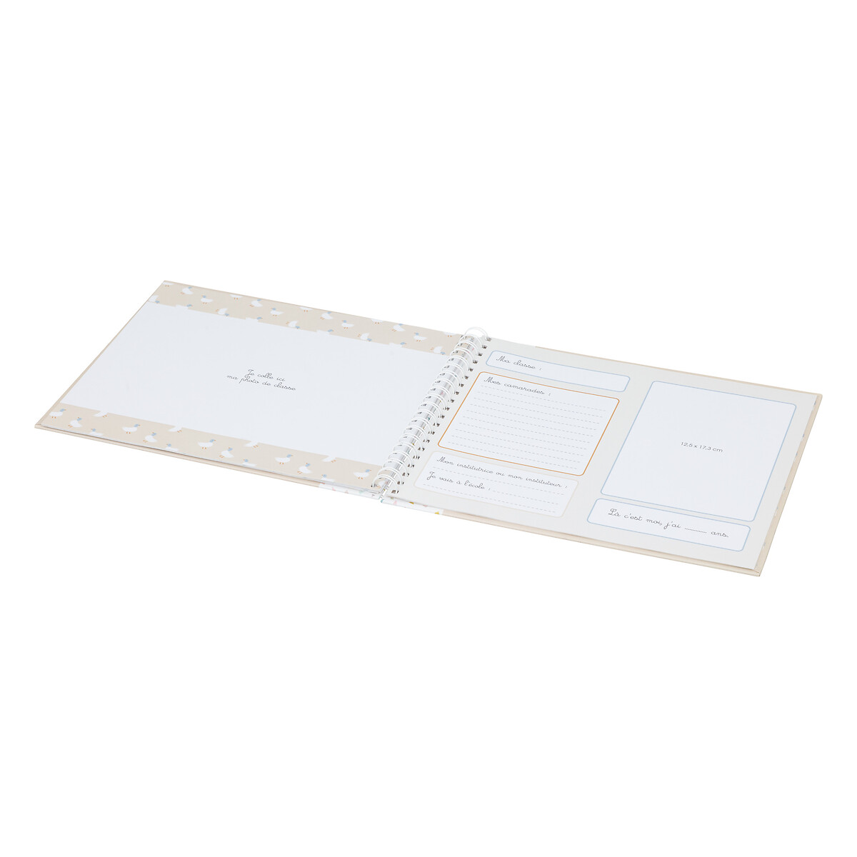 Class photo album 15 photos Beige