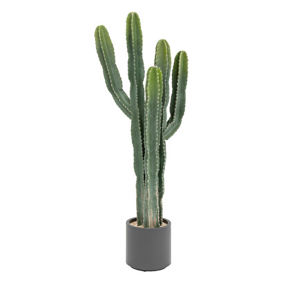 Cactus "exotic panama" plastic pot, h.117 cm
