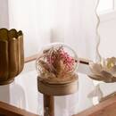 Dried Flower Ball Composition Rose, D.12 cm Multicolored