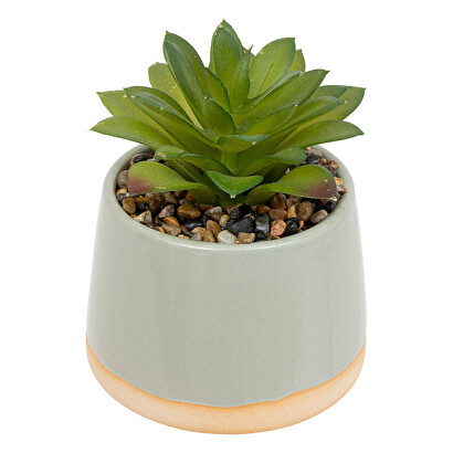 Plants, vases Artificial plants