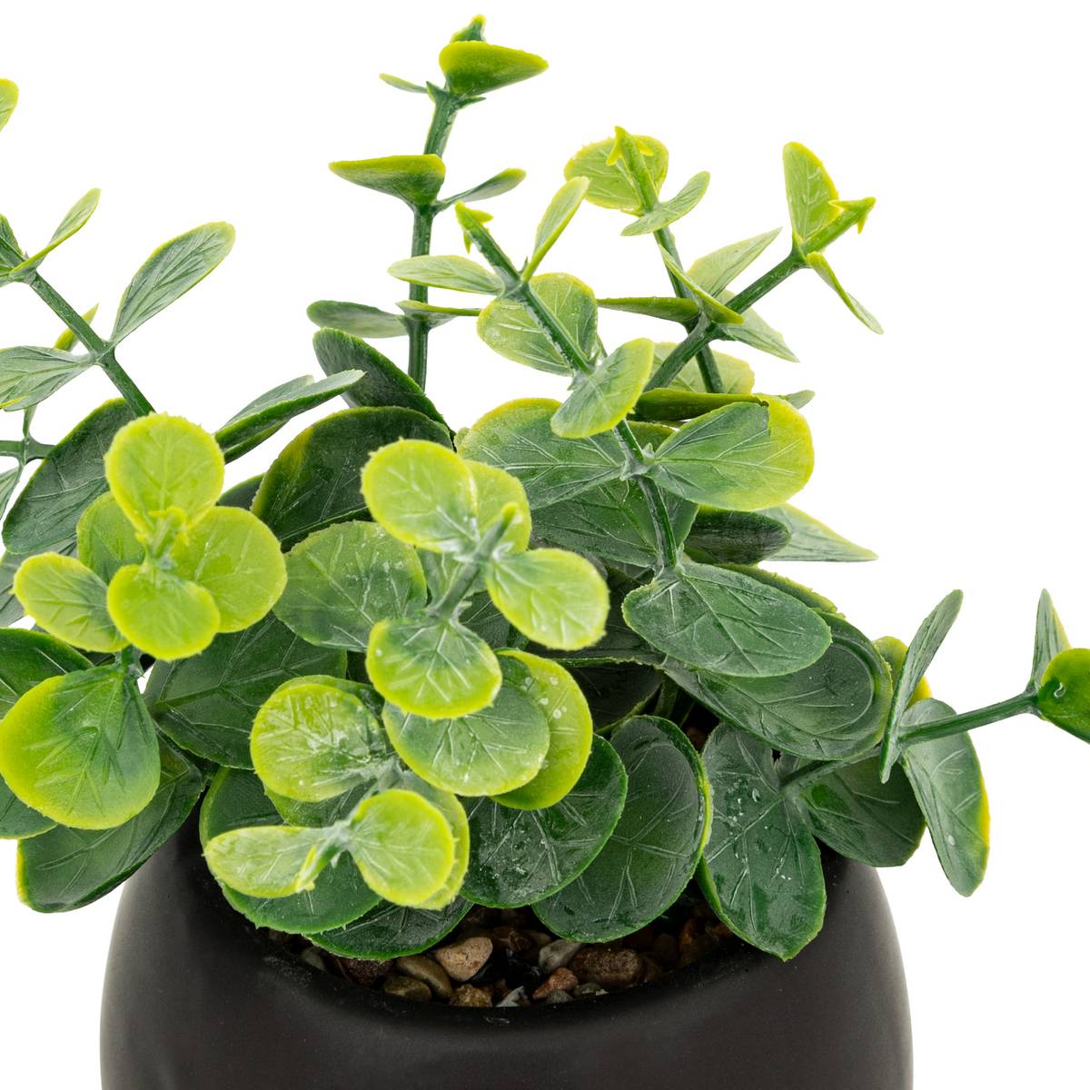 Artificial Plant "Livy" Ceramic pot, H.17 cm Black