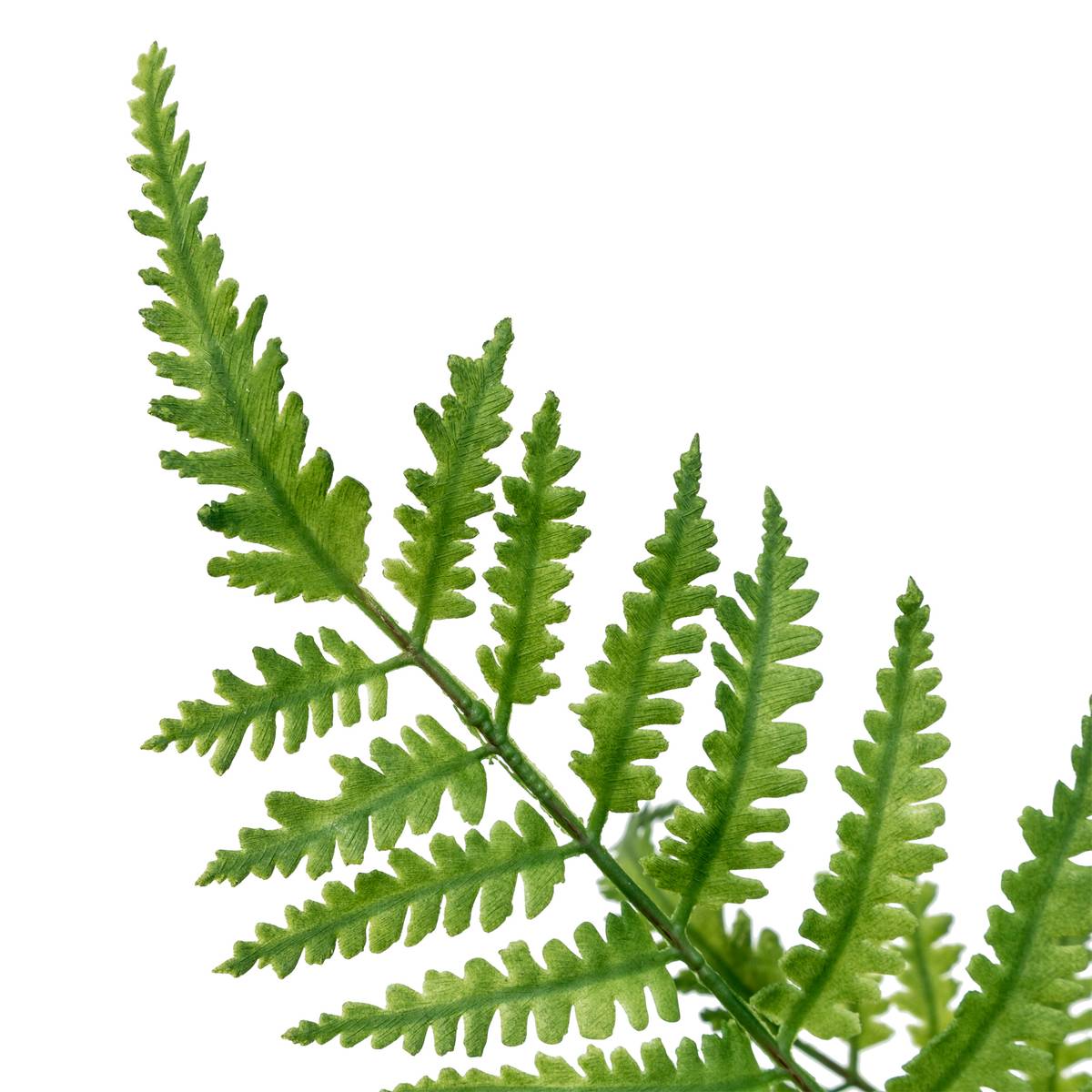 Artificial Fern Stem 'James'