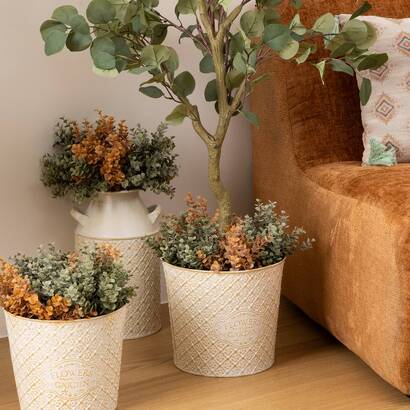 Plants, vases Planters