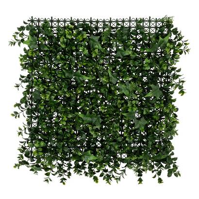 Plants, vases
