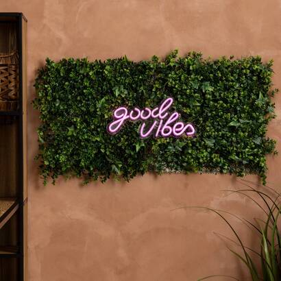 Plants, vases