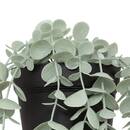 Artificial Potted Eucalyptus "Merly" Green, H. 51 cm Dark green