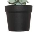 Artificial Potted Eucalyptus "Merly" Green, H. 51 cm Dark green