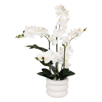 Artificial orchid in pot "mick" ceramic pot, white, h.80 cm