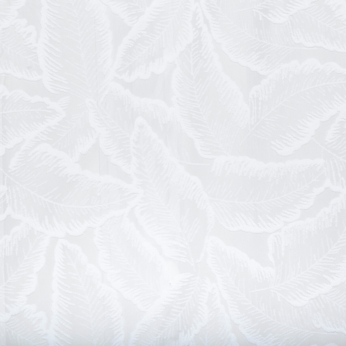 "Lazi" Leaf Pattern Voile White, 140x240 cm White 2