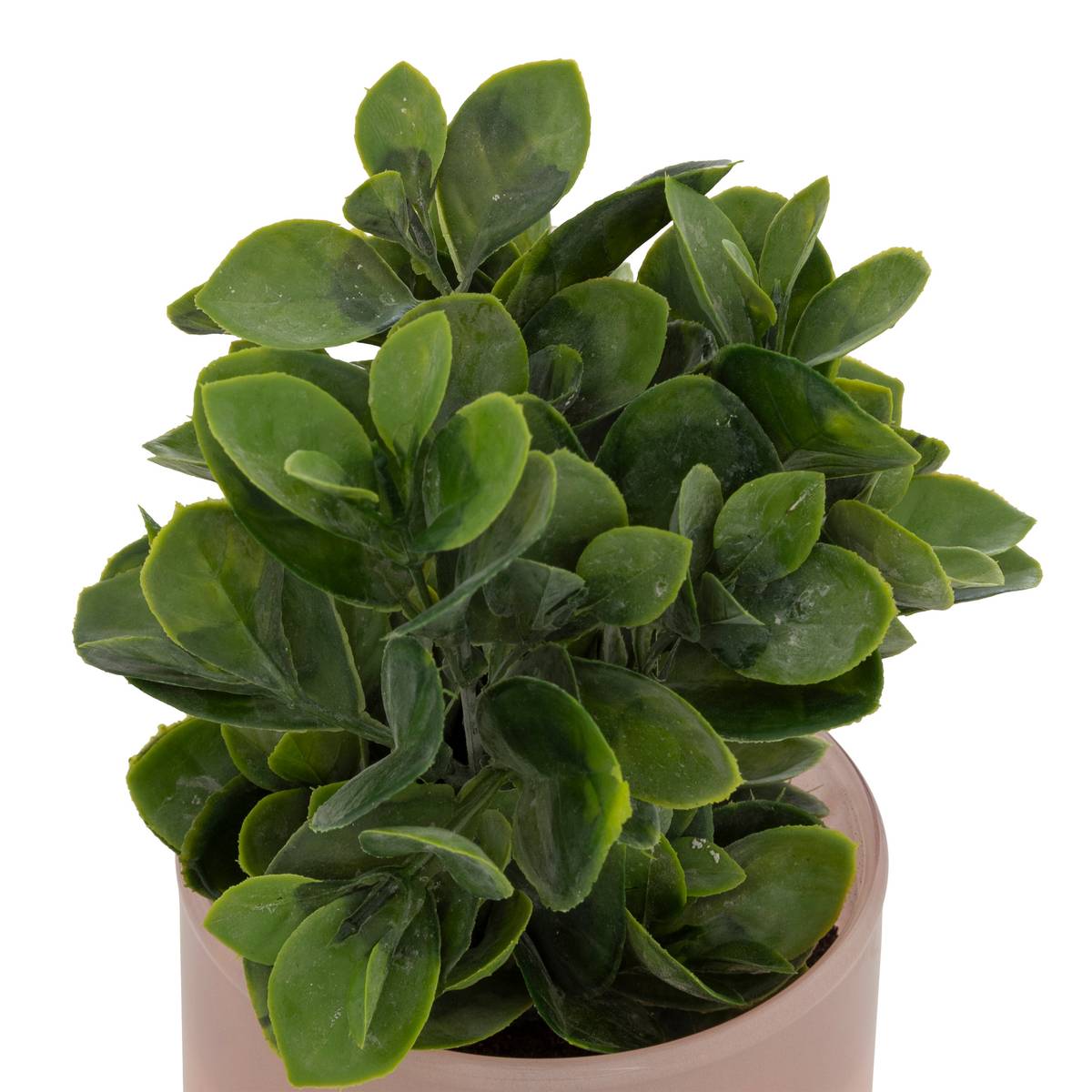 Artificial potted plant "Tayli" H. 18 cm Blue