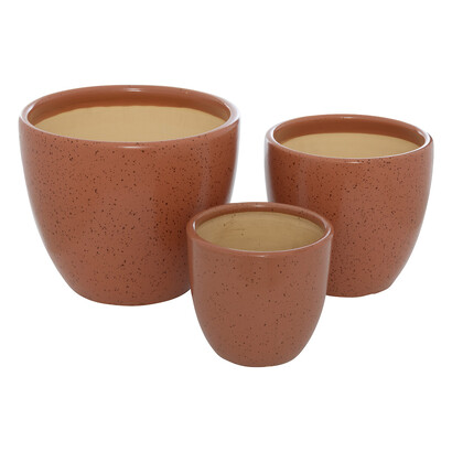 Plants, vases Planters