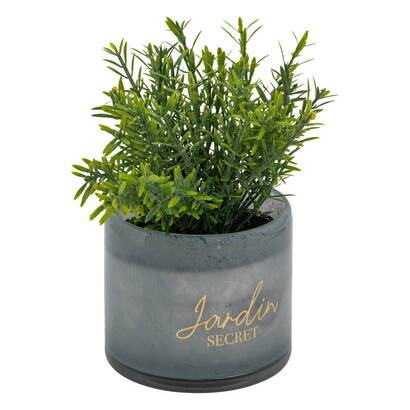 Plants, vases Artificial plants