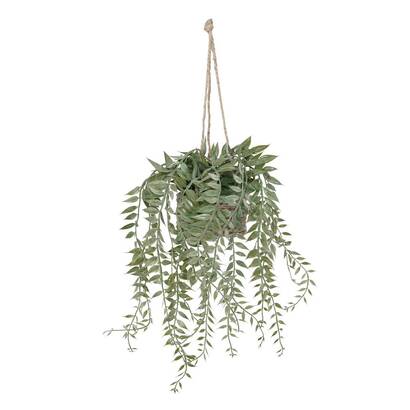 Plants, vases Artificial plants