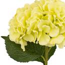 Artificial Hydrangea Stem Light Green, H.83 cm Light green