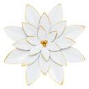 3 wall decorations "Alya" D.24 cm Light green