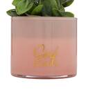 Artificial potted plant "Tayli" H. 18 cm Blue