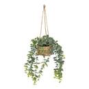 Hanging Artificial Plant "Patri" H. 47 cm Eucalyptus