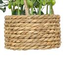 Hanging Artificial Plant "Patri" H. 47 cm Eucalyptus