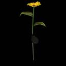 Baliza de exterior "Flor" H.75 cm Modelo A