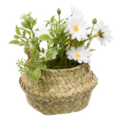 Plantas, jarrones todos los productos