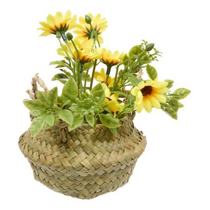 Plantas, jarrones todos los productos