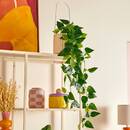 Planta artificial colgante "Pool" H.82 cm, Beige Beige