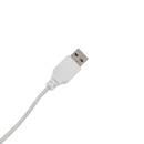 Ne&oacute;n LED "Cocktail" USB, Multicolor, 24,8x1,5 cm Multicolor