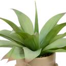 Planta artificial "Sien" Gres (cerámica), H.48 cm Multicolor