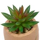 Planta artificial "Teri" H.9,5 cm Modelo A