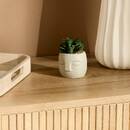 Planta artificial "Teri" H.9,5 cm Modelo A