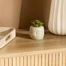 Planta artificial "Teri" H.9,5 cm Modelo A