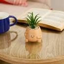 Planta artificial en maceta "Nippo" H.11,5 cm Modelo A