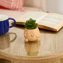 Planta artificial en maceta "Nippo" H.11,5 cm Modelo A